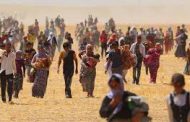 Jenosîda Neteweya Kurd: Enfala Barzaniyan û Qetlîama Şengalê