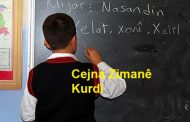 DİERG: Cejna Zimanê Zarokên Kurd Pîroz be