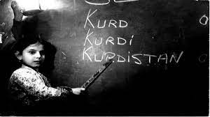 Kurd û ziman!