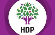 Ji siyasetmedar û akademisyen cîhanê: Em bi HDP'ra ne!