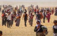 Di ser komkujiya Kurdên Êzidî ra 9 sal derbas bû